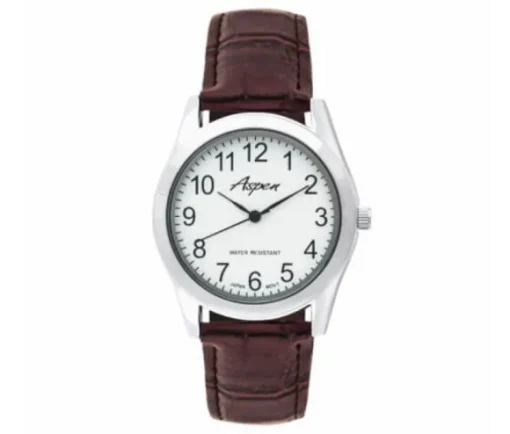 MONTRE ASPEN POUR HOMME EN ACIER