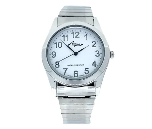 MONTRE ASPEN POUR HOMME EN ACIER