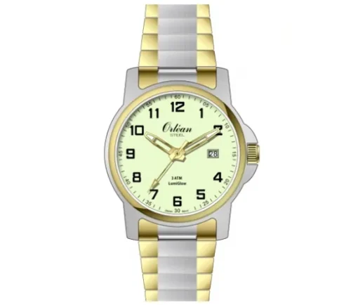 MONTRE ORLEAN ACIER 2T LUMIGLOW