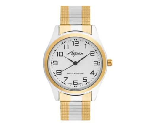 MONTRE POUR DAME ASPEN EN ACIER/PVD OR 2 TONS