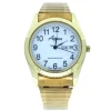 MONTRE POUR HOMME ASPEN EN ACIER/PVD OR