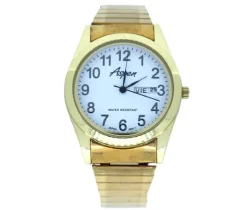MONTRE POUR HOMME ASPEN EN ACIER/PVD OR