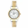 MONTRE POUR HOMME ASPEN EN ACIER/PVD OR 2 TONS