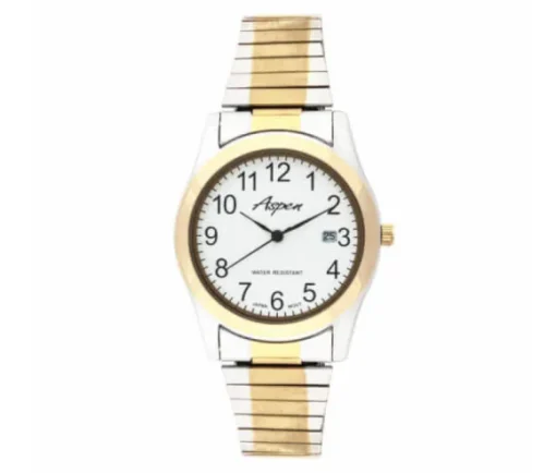 MONTRE POUR HOMME ASPEN EN ACIER/PVD OR 2 TONS