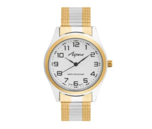 MONTRE POUR HOMME ASPEN EN ACIER/PVD OR 2 TONS