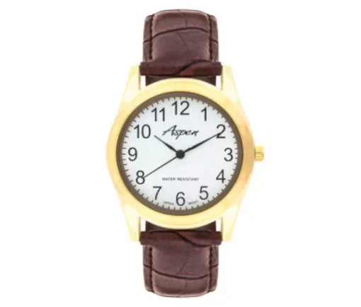 MONTRE POUR HOMME ASPEN EN ACIER/PVD OR